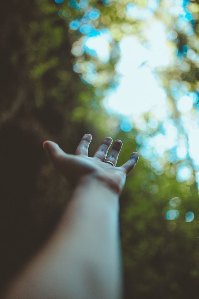 Close-up photo of an open hand palm-up with a background of forest and sky.